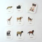 childkraft 32-Piece Animal Flash Cards Set