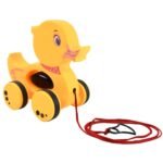 Pull Along Toy Colorful Developmental Toy for 1-Year-Old Girls Boys with Fun Movement Design